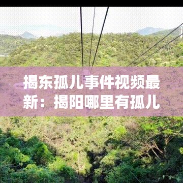 揭东孤儿事件视频最新：揭阳哪里有孤儿院,要领养的 