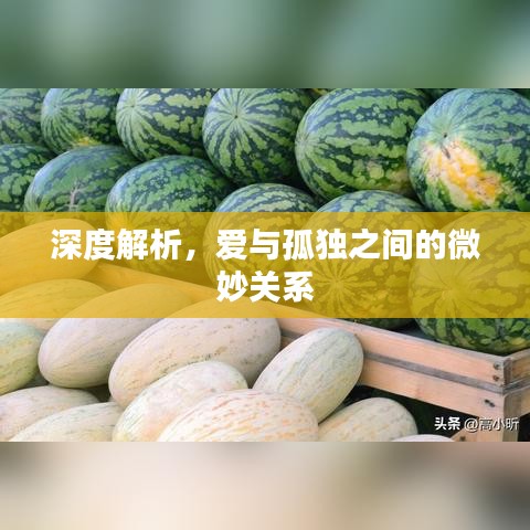 深度解析，爱与孤独之间的微妙关系
