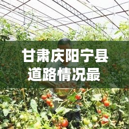 甘肃庆阳宁县道路情况最新：甘肃庆阳高速公路封闭最新消息 
