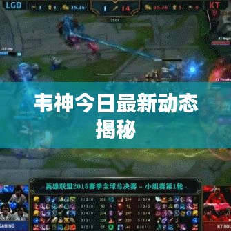 韦神今日最新动态揭秘