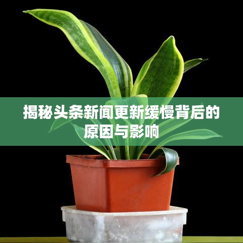 揭秘头条新闻更新缓慢背后的原因与影响