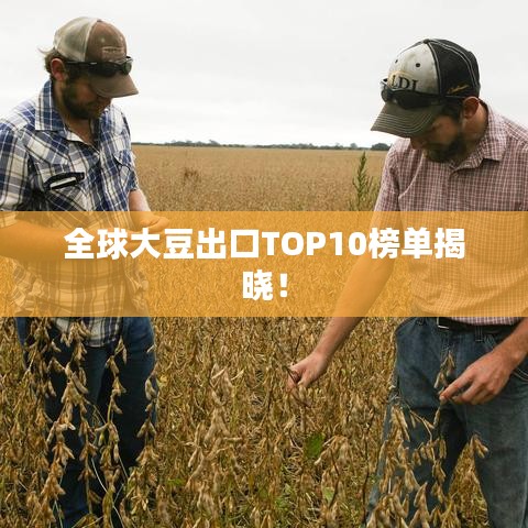 全球大豆出口TOP10榜单揭晓！