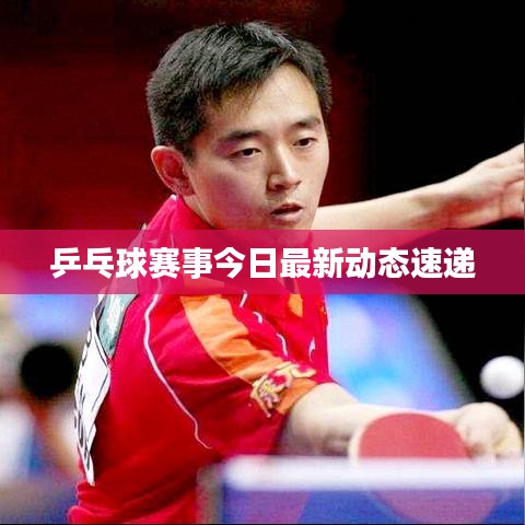 乒乓球赛事今日最新动态速递