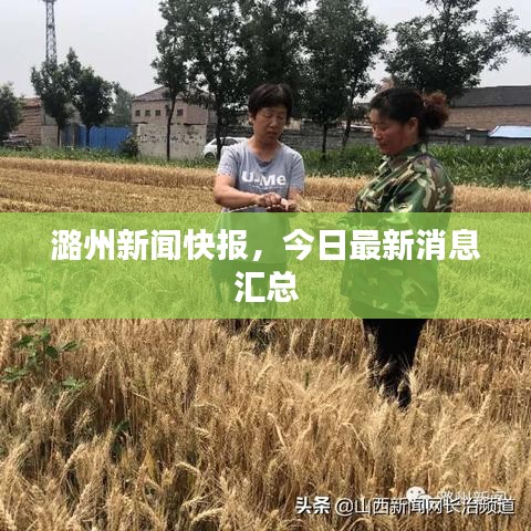 潞州新闻快报，今日最新消息汇总