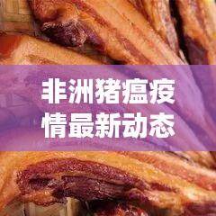 非洲猪瘟疫情最新动态，今日猪业消息速递
