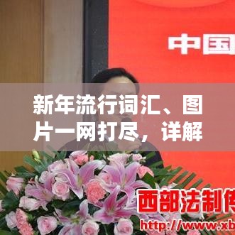 新年流行词汇、图片一网打尽，详解助你秒懂潮流热词大全