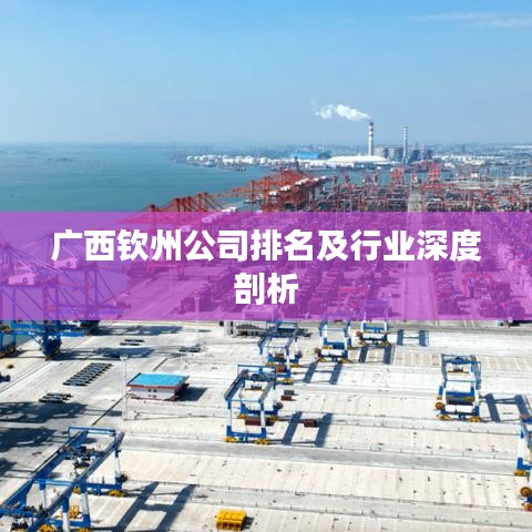 广西钦州公司排名及行业深度剖析