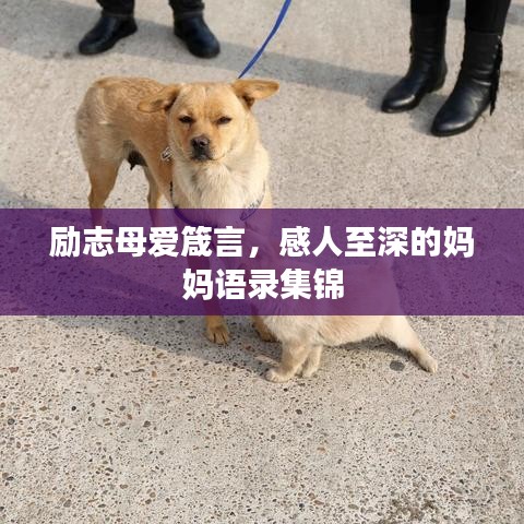 大惊失色 第2页