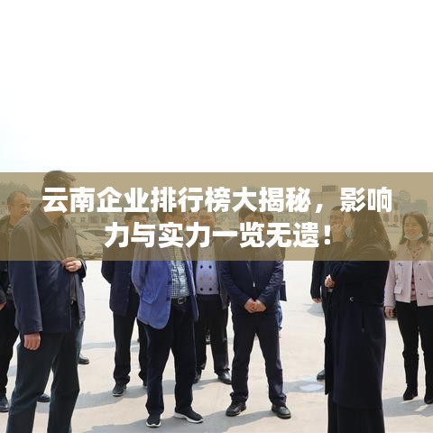 云南企业排行榜大揭秘，影响力与实力一览无遗！
