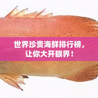 世界珍贵海鲜排行榜，让你大开眼界！