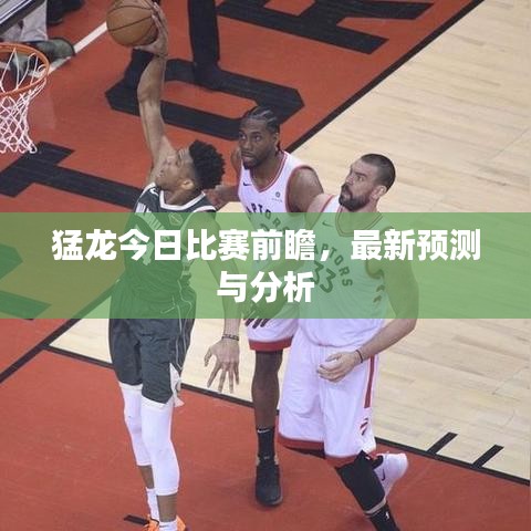 猛龙今日比赛前瞻，最新预测与分析