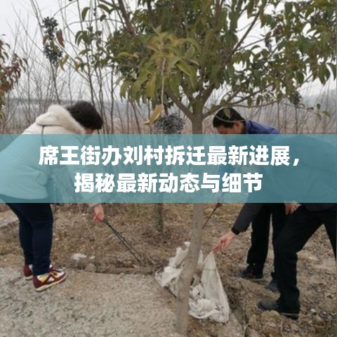 席王街办刘村拆迁最新进展，揭秘最新动态与细节