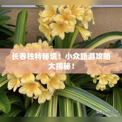 长春独特秘境！小众旅游攻略大揭秘！