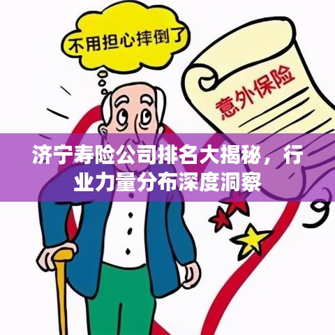 济宁寿险公司排名大揭秘，行业力量分布深度洞察