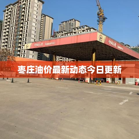 笼中之鸟 第2页