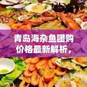 青岛海杂鱼团购价格最新解析，超值优惠一网打尽！