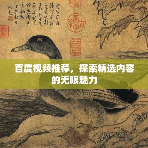 百度视频推荐，探索精选内容的无限魅力