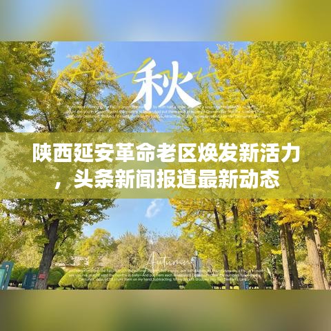 陕西延安革命老区焕发新活力，头条新闻报道最新动态