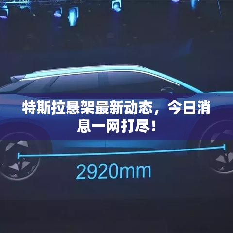 特斯拉悬架最新动态，今日消息一网打尽！