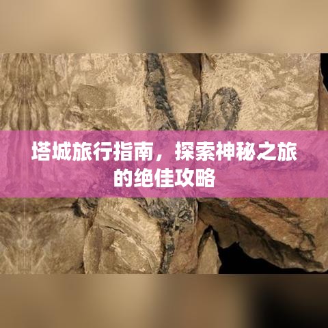 塔城旅行指南，探索神秘之旅的绝佳攻略