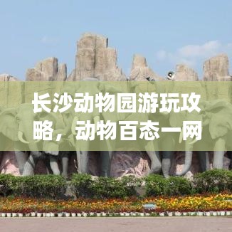 长沙动物园游玩攻略，动物百态一网打尽！