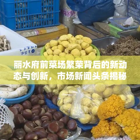 丽水府前菜场繁荣背后的新动态与创新，市场新闻头条揭秘