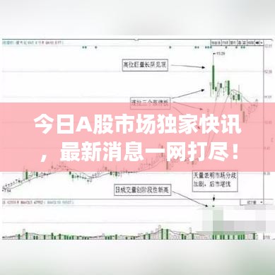 今日A股市场独家快讯，最新消息一网打尽！