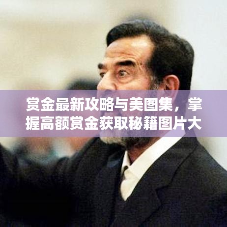 赏金最新攻略与美图集，掌握高额赏金获取秘籍图片大全