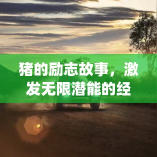 猪的励志故事，激发无限潜能的经典语录