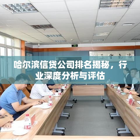 哈尔滨信贷公司排名揭秘，行业深度分析与评估
