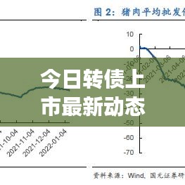 今日转债上市最新动态，市场走势揭秘，投资者关注焦点解析