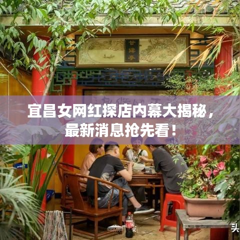 宜昌女网红探店内幕大揭秘，最新消息抢先看！