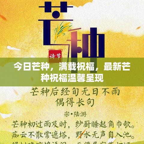 今日芒种，满载祝福，最新芒种祝福温馨呈现