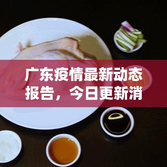 广东疫情最新动态报告，今日更新消息汇总