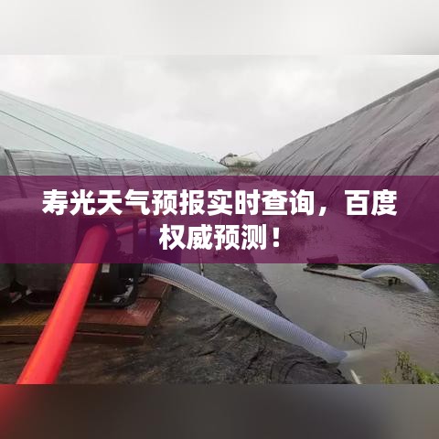 寿光天气预报实时查询，百度权威预测！