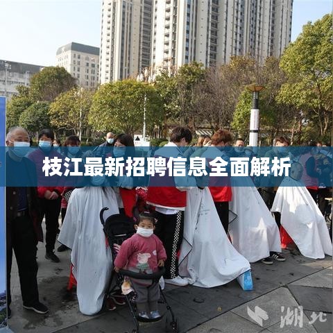 枝江最新招聘信息全面解析
