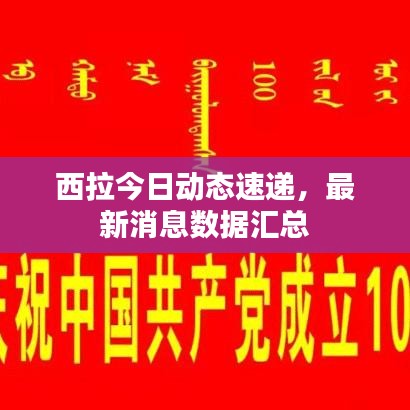 西拉今日动态速递，最新消息数据汇总