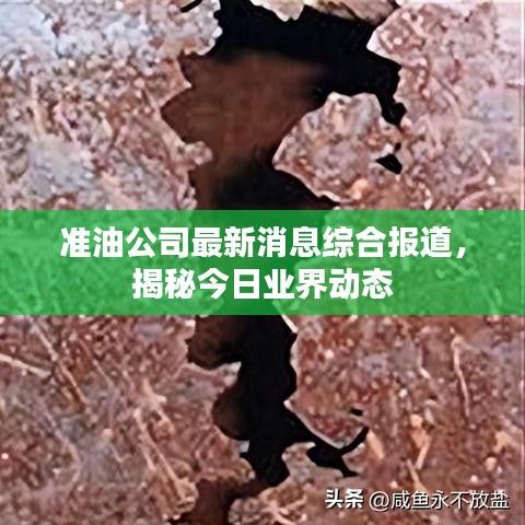 准油公司最新消息综合报道，揭秘今日业界动态