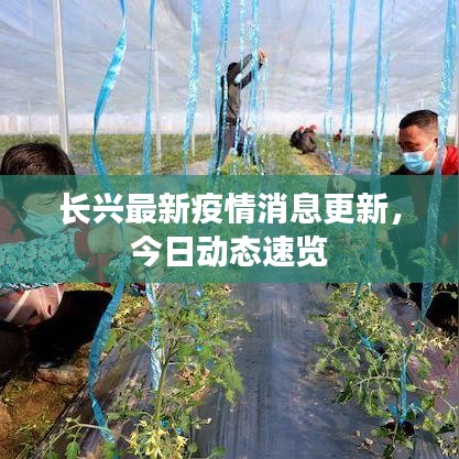 长兴最新疫情消息更新，今日动态速览