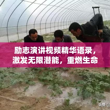 励志演讲视频精华语录，激发无限潜能，重燃生命激情！