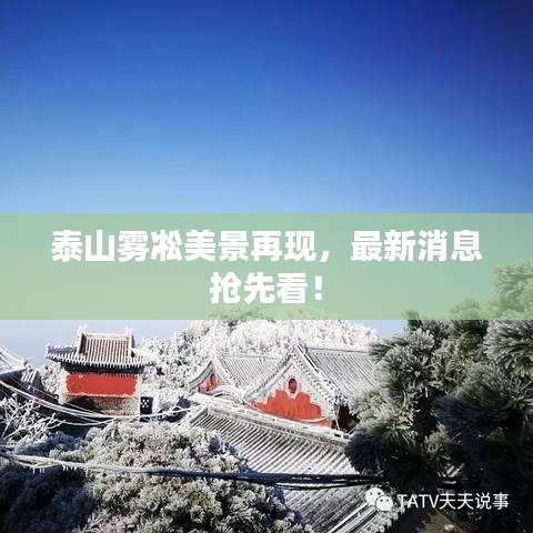 泰山雾凇美景再现，最新消息抢先看！