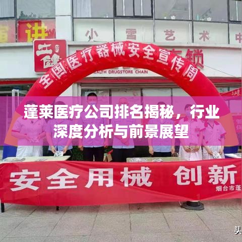 蓬莱医疗公司排名揭秘，行业深度分析与前景展望