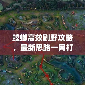 螳螂高效刷野攻略，最新思路一网打尽！