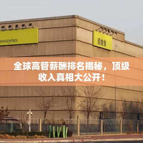 全球高管薪酬排名揭秘，顶级收入真相大公开！