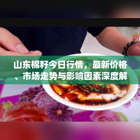 山东棉籽今日行情，最新价格、市场走势与影响因素深度解析