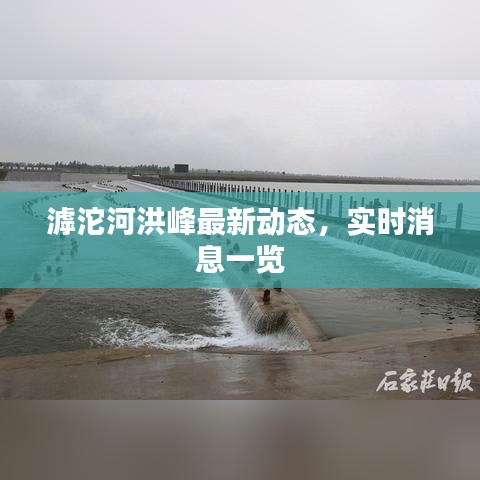 滹沱河洪峰最新动态，实时消息一览