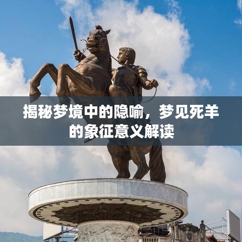 揭秘梦境中的隐喻，梦见死羊的象征意义解读
