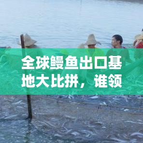 全球鳗鱼出口基地大比拼，谁领先？排名揭晓！