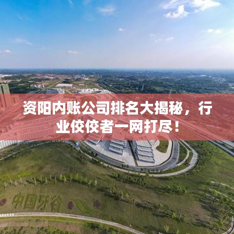 资阳内账公司排名大揭秘，行业佼佼者一网打尽！