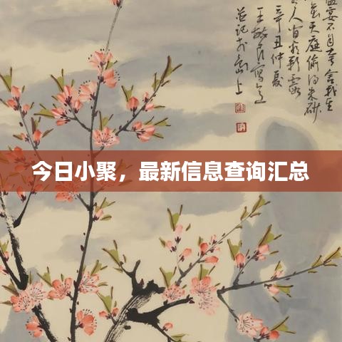 今日小聚，最新信息查询汇总